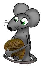 Who has the coconut Nuhir